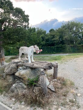 群馬サファリパークに投稿された画像（2023/8/12）