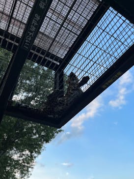 群馬サファリパークに投稿された画像（2023/8/12）