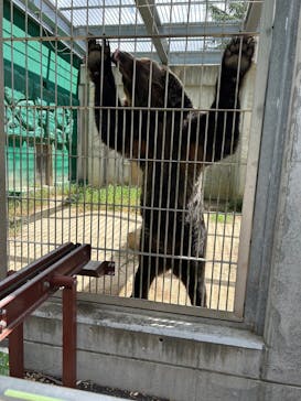 東武動物公園に投稿された画像（2023/8/12）