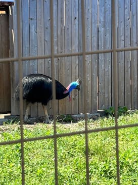 東武動物公園に投稿された画像（2023/8/12）