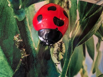 鈴鹿サーキットに投稿された画像（2023/8/12）