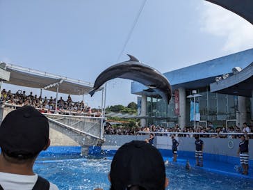 大分マリーンパレス水族館 「うみたまご」に投稿された画像（2023/8/12）