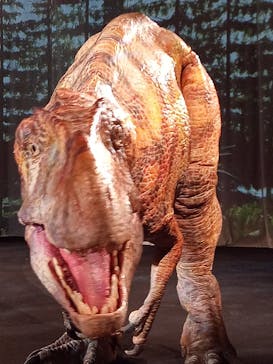 福井県立恐竜博物館に投稿された画像（2023/8/12）