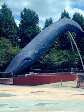 国立科学博物館に投稿された画像（2023/8/12）