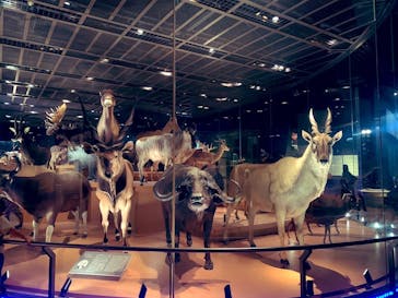 国立科学博物館に投稿された画像（2023/8/12）