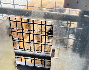 群馬サファリパークに投稿された画像（2023/8/12）