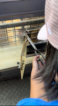 群馬サファリパークに投稿された画像（2023/8/12）