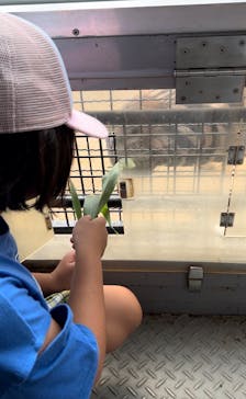 群馬サファリパークに投稿された画像（2023/8/12）