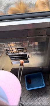 群馬サファリパークに投稿された画像（2023/8/12）