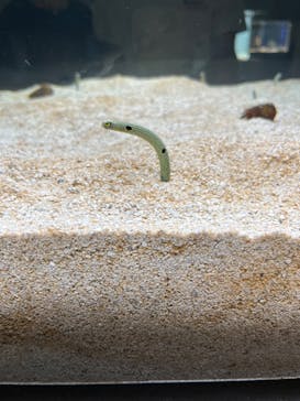 AOAO SAPPOROに投稿された画像（2023/8/12）