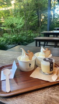 小田原城に投稿された画像（2023/8/12）