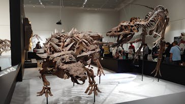 大阪市立自然史博物館に投稿された画像（2023/8/12）