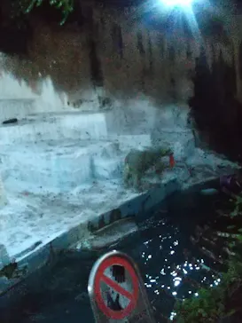 天王寺動物園に投稿された画像（2023/8/12）