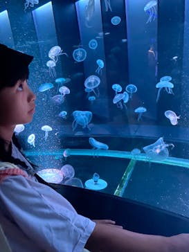 京都水族館に投稿された画像（2023/8/13）