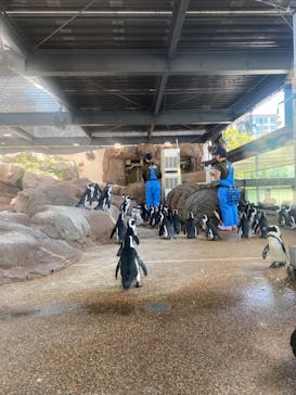 京都水族館に投稿された画像（2023/8/13）