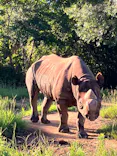 よこはま動物園ズーラシアに投稿された画像（2023/8/13）