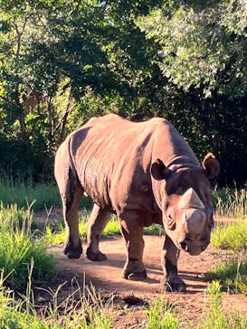 よこはま動物園ズーラシアに投稿された画像（2023/8/13）