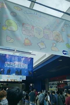 アクアワールド茨城県大洗水族館に投稿された画像（2023/8/13）