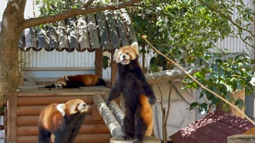 姫路セントラルパークに投稿された画像（2023/8/13）