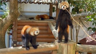 姫路セントラルパークに投稿された画像（2023/8/13）