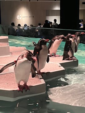 AOAO SAPPOROに投稿された画像（2023/8/13）