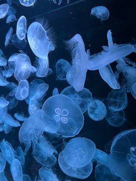 AOAO SAPPOROに投稿された画像（2023/8/13）