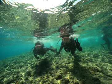 武藤潜水に投稿された画像（2023/8/13）