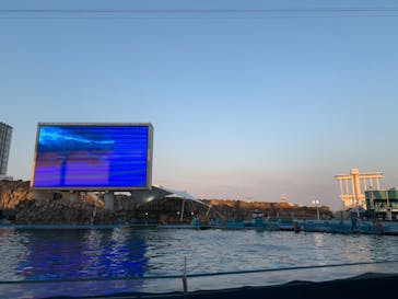 名古屋港水族館に投稿された画像（2023/8/13）