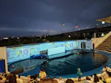 仙台うみの杜水族館に投稿された画像（2023/8/13）
