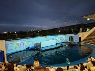 仙台うみの杜水族館に投稿された画像（2023/8/13）