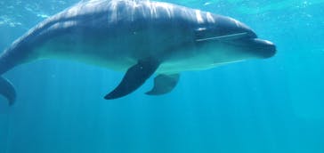 南知多ビーチランド＆南知多おもちゃ王国に投稿された画像（2023/8/13）