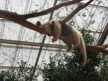 神戸どうぶつ王国に投稿された画像（2023/8/13）