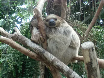 神戸どうぶつ王国に投稿された画像（2023/8/13）
