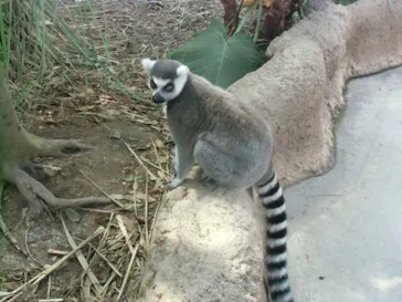 神戸どうぶつ王国に投稿された画像（2023/8/13）