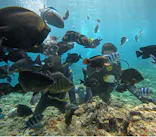 武藤潜水に投稿された画像（2023/8/13）