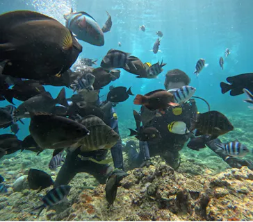 武藤潜水に投稿された画像（2023/8/13）