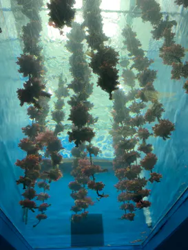仙台うみの杜水族館に投稿された画像（2023/8/13）