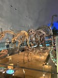 福井県立恐竜博物館に投稿された画像（2023/8/13）