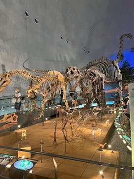 福井県立恐竜博物館に投稿された画像（2023/8/13）
