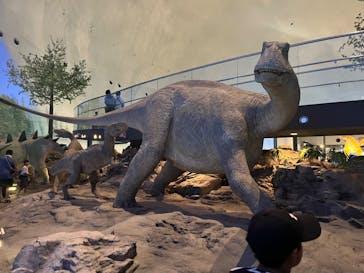 福井県立恐竜博物館に投稿された画像（2023/8/13）