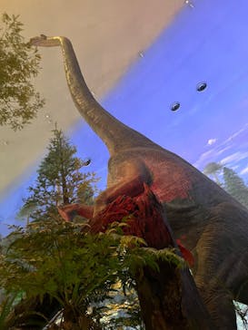 福井県立恐竜博物館に投稿された画像（2023/8/13）