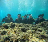 武藤潜水に投稿された画像（2023/8/13）