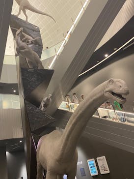 福井県立恐竜博物館に投稿された画像（2023/8/13）