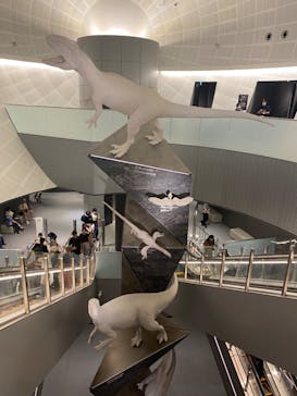 福井県立恐竜博物館に投稿された画像（2023/8/13）