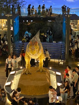 福井県立恐竜博物館に投稿された画像（2023/8/13）