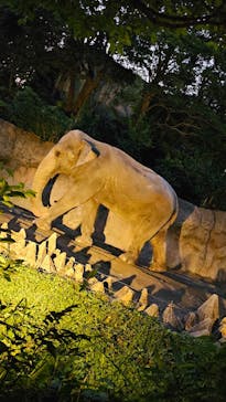 到津の森公園に投稿された画像（2023/8/13）