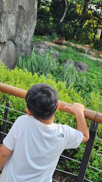 到津の森公園に投稿された画像（2023/8/13）