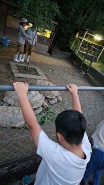 到津の森公園に投稿された画像（2023/8/13）