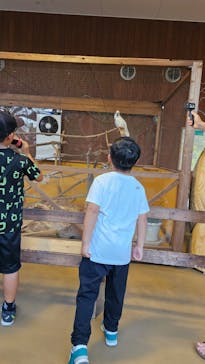 到津の森公園に投稿された画像（2023/8/13）