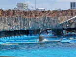 名古屋港水族館に投稿された画像（2023/8/13）
